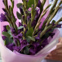 9 фиолетовых гладиолусов фото 2