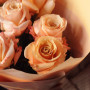 7 персиковых роз — вид 4